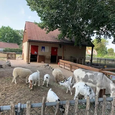 Ferienhaus Groenlake 16 - 6 Persoons Ewijk